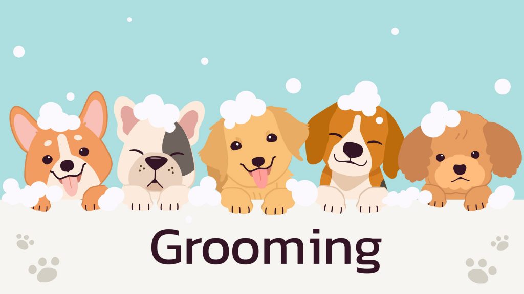 pet grooming